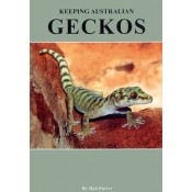 Keeping Australian Geckos - SOLD OUT