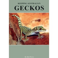 Keeping Australian Geckos - SOLD OUT