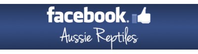 Aussie Reptiles - Facebook