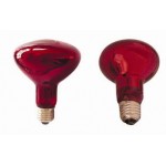 75w Reptapets Nocturnal Infrared Heat Lamp